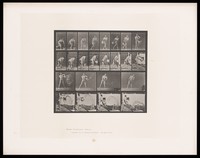 view A man throwing a bucket of water. Collotype after Eadweard Muybridge, 1887.
