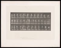 view A woman filling up and emptying a bowl of water. Collotype after Eadweard Muybridge, 1887.