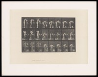 view A woman filling up a basin and washing her face. Collotype after Eadweard Muybridge, 1887.