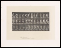 view A woman ringing out a piece of cloth. Collotype after Eadweard Muybridge, 1887.