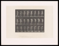 view A woman drinking out of a goblet. Collotype after Eadweard Muybridge, 1887.