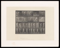 view E. Muybridge throwing a disc, ascending stairs, and walking. Collotype after Eadweard Muybridge, 1887.