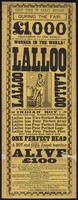view First tour in Great Britain : during the fair, £1,000 challenge to the world! to produce the equal of Lallo [sic], the greatest living wonder in the world : a native of Lucknow, central India : Lalloo... simply a boy and girl joined together... / James Norman and M.D. Francis, proprietors.