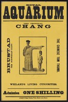 view Royal Aquarium : the original Chang, Brustad, the Norwegian giant, the Chinese Tom Thumb,  Wieland's living curiosities : admission one shilling.