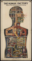 view The human factory : sketch of the chemical functions of the body.