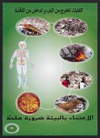 view Djibouti: waste disposal and its effects on health. Colour lithograph, ca. 2000.