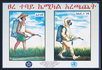 view The importance of protective clothing when handling toxic substances in Ethiopia. Colour lithograph for the World Health Organisation, 2000.