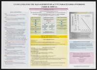 view Guidelines for the management of acute paracetamol overdose in Ethiopia. Colour lithograph by DACA, ca. 2000.