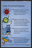 view The immune system: fighting viruses in Kenya. Colour lithograph by Peace Corps Volunteers and PEFPFAR, 2007.