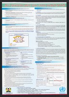 view Strategies, objectives, definitions and steps for AFP surveillance for polio eradication in Kenya. Colour lithograph by Ministry of Public Health and Sanitation, ca. 2000.