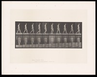 view A naked woman walking. Collotype after Eadweard Muybridge, 1887.