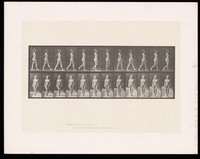 view A naked woman walking. Collotype after Eadweard Muybridge, 1887.