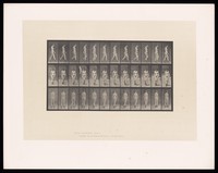 view A naked woman walking. Collotype after Eadweard Muybridge, 1887.