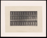 view A naked woman walking. Collotype after Eadweard Muybridge, 1887.