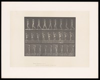 view A man walking wearing a pouch and carrying a heavy rock. Collotype after Eadweard Muybridge, 1887.