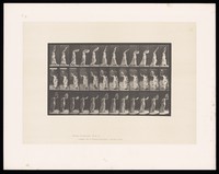 view A naked woman walking. Collotype after Eadweard Muybridge, 1887.