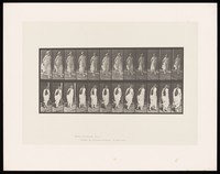 view A woman running, wearing a sheer dress. Collotype after Eadweard Muybridge, 1887.