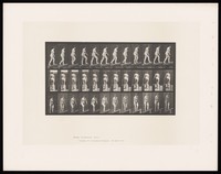 view A naked woman walking up a slope. Collotype after Eadweard Muybridge, 1887.