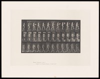 view A naked woman walking up a slope. Collotype after Eadweard Muybridge, 1887.