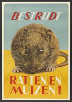 view A rat; representing the battle against rats and mice in the Netherlands. Lithograph by J. Roëde, ca. 1950 (?).