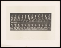 view A naked woman walking up a slope with a bucket in her right hand. Collotype after Eadweard Muybridge, 1887.