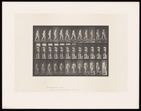 view A naked woman walking up a slope wearing shoes. Collotype after Eadweard Muybridge, 1887.