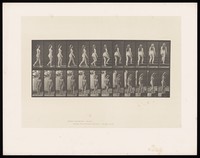 view A naked woman turning and walking up steps. Collotype after Eadweard Muybridge, 1887.