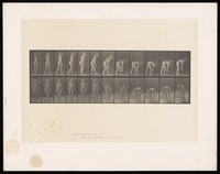 view A naked woman walking and picking up a ball. Collotype after Eadweard Muybridge, 1887.