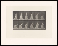 view A clothed woman walking and bending to her right side to pick up a handkerchief she has dropped, holding a parasol in her left hand. Collotype after Eadweard Muybridge, 1887.