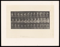 view A naked woman lifting a basket of flowers then emptying it. Collotype after Eadweard Muybridge, 1887.