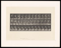 view A clothed woman walking up to a wicker basket, picking it up and walking off with it. Collotype after Eadweard Muybridge, 1887.