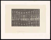 view A naked woman picking up a basket from the ground and placing it on her head. Collotype after Eadweard Muybridge, 1887.