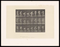 view A naked woman walking to a basin, picking it up and turning. Collotype after Eadweard Muybridge, 1887.