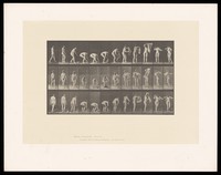 view A naked woman bending to pick up a cloth, straightening up and placing it around her shoulders. Collotype after Eadweard Muybridge, 1887.