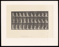 view A clothed woman places a chair on the ground, sits on it, crosses her legs and fans herself. Collotype after Eadweard Muybridge, 1887.