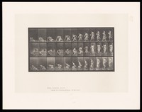 view A woman, naked above the waist, sitting on the ground with her legs stretched out to her left, rises to a standing position, a folded paper in her right hand. Collotype after Eadweard Muybridge, 1887.