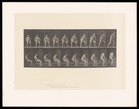 view A naked man sitting in a wooden chair rises to a standing position and turns. Collotype after Eadweard Muybridge, 1887.