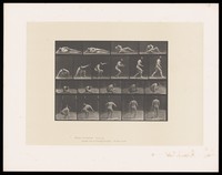 view A naked man lies on his right side on a mat, his lower right arm raised to support his head. He turns his torso, raises himself into a standing position and walks off. Collotype after Eadweard Muybridge, 1887.