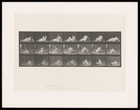 view A clothed woman lies on her left side on the ground, head resting on her left hand. She raises herself from the hips, turns away from the camera and rests on her right elbow. Collotype after Eadweard Muybridge, 1887.