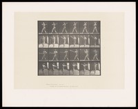 view A naked man stands, legs well apart, swinging a baseball bat to hit a ball. Collotype after Eadweard Muybridge, 1887.