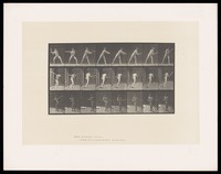 view A naked man stands, legs well apart, his body turning as he swings a baseball bat to hit a ball then relaxes and raises the bat in front of himself. Collotype after Eadweard Muybridge, 1887.