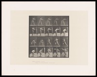 view A naked man stands, bending slightly fowards, hands stretched out in front of him. He catches a ball to his left side, straightens and turns to his right side to throw it back with his right hand. Collotype after Eadweard Muybridge, 1887.