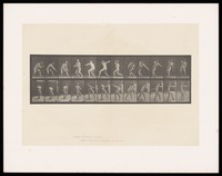 view A naked man bounces a ball, turns and throws it away to his right. Collotype after Eadweard Muybridge, 1887.