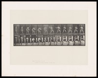 view A naked man stoops slightly to catch a ball then throws it back with his right hand. Collotype after Eadweard Muybridge, 1887.