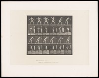 view A naked man raises his right arm to throw a ball, turning as he does then lowers his arm. Collotype after Eadweard Muybridge, 1887.