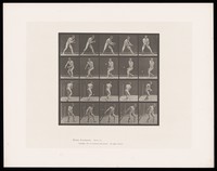 view A naked man bends slightly to catch a ball. The ball bounces round him. He turns. Collotype after Eadweard Muybridge, 1887.