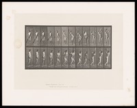 view A naked man stands, holding a cricket bat. He swings it back to above his right shoulder, then in front of him to up above his left shoulder. Collotype after Eadweard Muybridge, 1887.