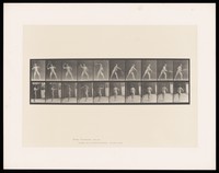 view A naked man throws a ball in the air with his left hand, raises the tennis racquet held in his right, hits the ball with a downward motion then raises the racquet. Collotype after Eadweard Muybridge, 1887.