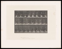 view A clothed woman bends to scoop up a ball with a tennis racquet held in her right hand, hits the ball upwards, catches it with her left hand then swings the racquet back behind her. Collotype after Eadweard Muybridge, 1887.