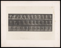 view A naked man catches a rugby ball, drops it, then kicks it with his right foot. Collotype after Eadweard Muybridge, 1887.